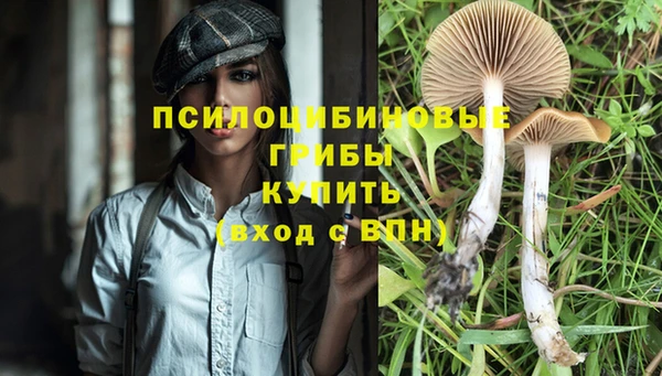 марки lsd Беломорск