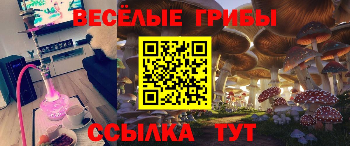 Галлюциногенные грибы мухоморы Бердск