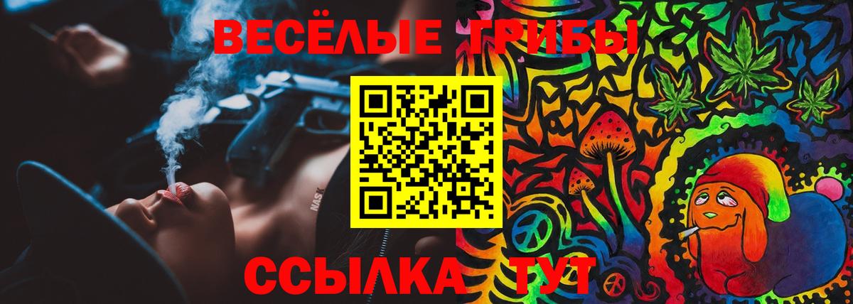 Галлюциногенные грибы Magic Shrooms  Бердск 