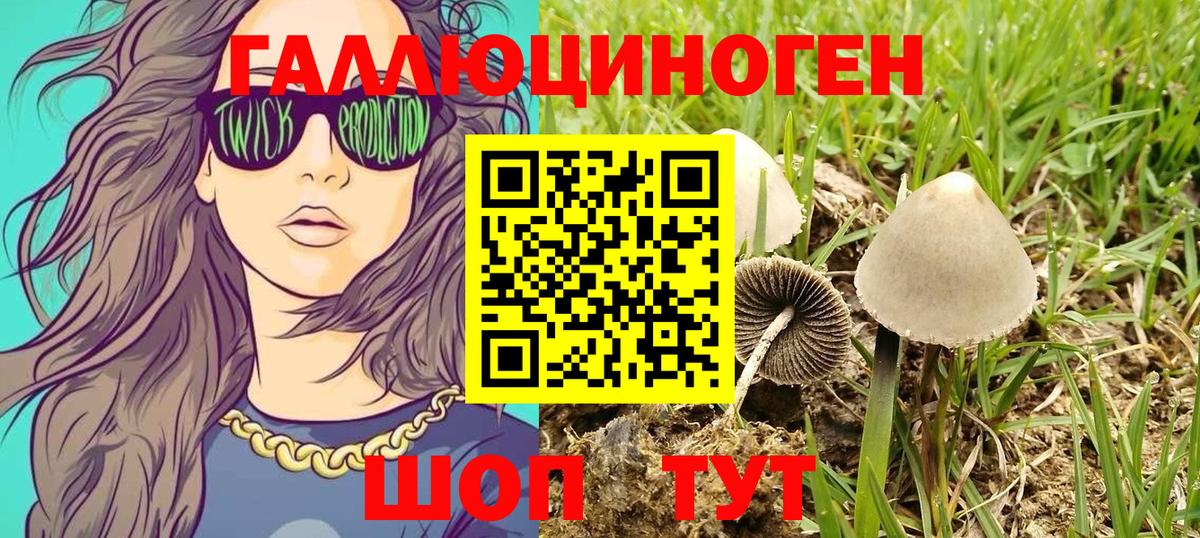 Псилоцибиновые грибы Psilocybine cubensis  Псилоцибиновые грибы Magic Shrooms  Бердск  Вход с VPN 